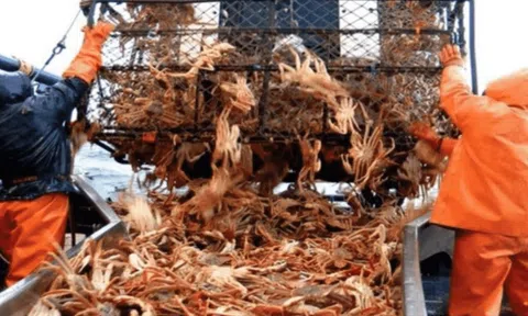 Nghề "hot" đi làm 5 ngày/năm bỏ túi 2,5 tỷ đồng, cực kì thiếu người làm