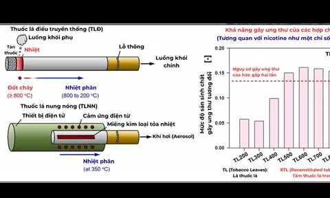 Phần lớn bác sĩ vẫn còn nhầm lẫn về nguy cơ của nicotine trong thuốc lá