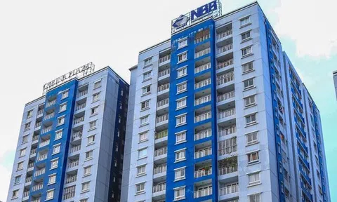 CII Service gom hàng triệu cổ phiếu NBB, nhóm CII siết chặt sở hữu tại Năm Bảy Bảy lên sát mốc 80%