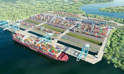 Cảng Phước An (PAP): Gánh lỗ lũy kế trăm tỷ và áp lực nợ vay, vẫn quyết mở rộng dự án gần 5.000 tỷ đồng