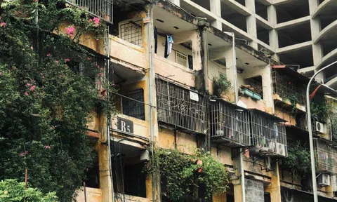 Đề xuất thí điểm cơ chế cho Hà Nội cưỡng chế tháo dỡ chung cư cũ