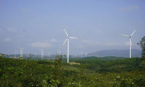 Để đạt Net Zero 2050 giá điện phải tăng thêm 30%