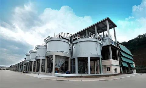 Phốt pho Apatit Việt Nam (PAT) chốt quyền tạm ứng cổ tức 100% bằng tiền, gia đình Chủ tịch nhận hàng chục tỷ đồng