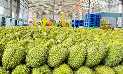 Xuất khẩu nông lâm thủy sản lập kỷ lục mới