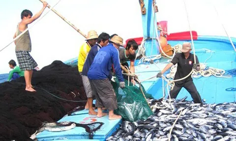 Ngưng hiệu lực thi hành quy định kích thước tối thiểu được phép khai thác một số loài thủy sản