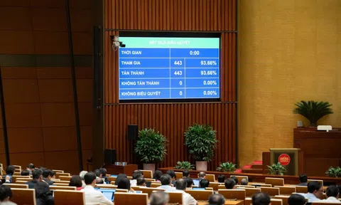 Thông qua một trong những nghị quyết quan trọng nhất của Kỳ họp: Hoàn thiện tầm nhìn phát triển đến năm 2050