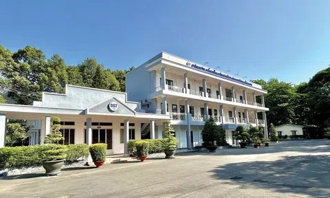 Công trình Giao thông Đồng Nai (DGT): Kế toán trưởng xin nghỉ sau 3 tháng, doanh nghiệp báo lỗ ròng gần 9 tỷ đồng