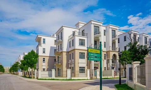 Bất động sản compound luôn tăng giá nhanh hơn thị trường: Lợi thế giúp Vịnh Xanh hút nhà đầu tư