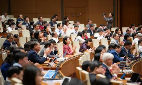 Thông qua Luật Báo chí (sửa đổi), cấp thẻ nhà báo lần đầu phải qua lớp bồi dưỡng nghiệp vụ