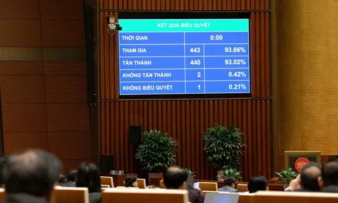 Thông qua Luật Phòng bệnh, nghiêm cấm hành vi giả mắc rối loạn tâm thần để trục lợi