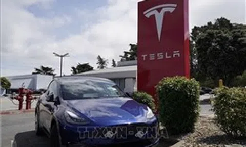Thị phần Tesla tại Mỹ xuống mức thấp nhất kể từ năm 2017