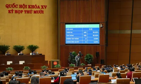 Hiện đại hóa công tác thống kê, phù hợp với yêu cầu chuyển đổi số và tổ chức lại bộ máy