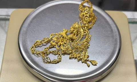 Sự thật phía sau sợi dây chuyền vàng được giấu trong bồn xả nước nhà vệ sinh