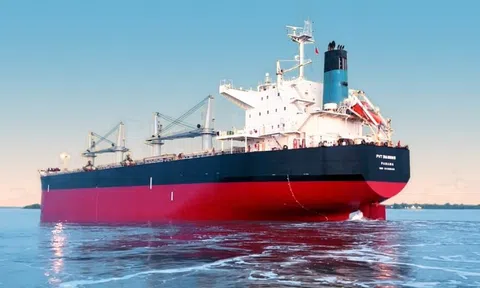 PVT Logistics (PDV) hoàn tất phát hành hơn 13 triệu cổ phiếu trả cổ tức, nâng vốn điều lệ lên 793 tỷ đồng