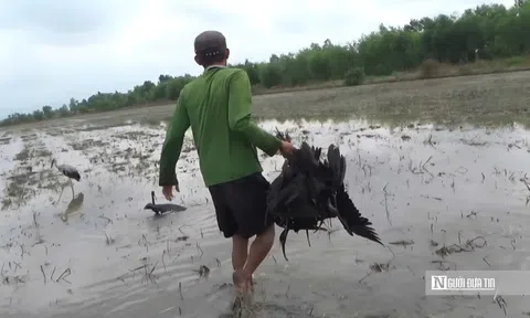 Tây Ninh mở chiến dịch truy quét những "bẫy ngầm" tận diệt động vật hoang dã