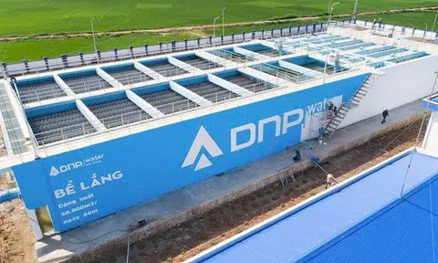 DNP Holding (DNP) tất toán một lô trái phiếu phát hành năm 2020