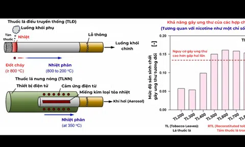 Phần lớn bác sĩ vẫn còn nhầm lẫn về nguy cơ của nicotine trong thuốc lá