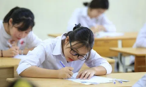 Hơn 6.700 em dự thi chọn học sinh giỏi quốc gia năm học 2025-2026