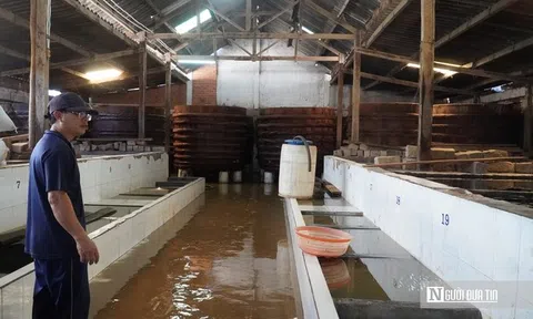 Mưa lũ làm "gián đoạn" chuỗi sản xuất, làng nghề nước mắm Lâm Đồng gấp rút phục hồi