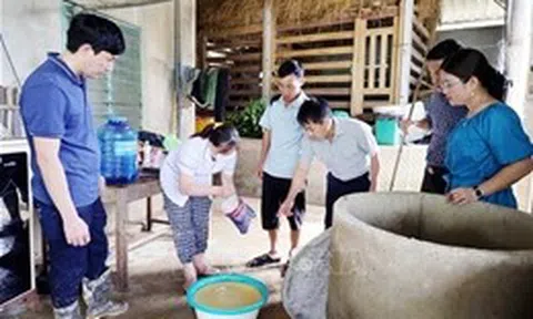 Xử lý nhanh điểm ô nhiễm để ngăn chặn dịch bệnh sau thiên tai