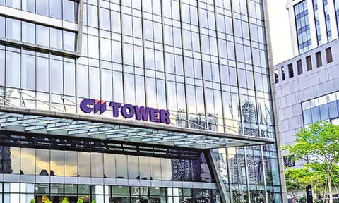 Năm Bảy Bảy (NBB): CII Service đăng ký nhận chuyển nhượng gần 10 triệu cổ phiếu từ công ty mẹ