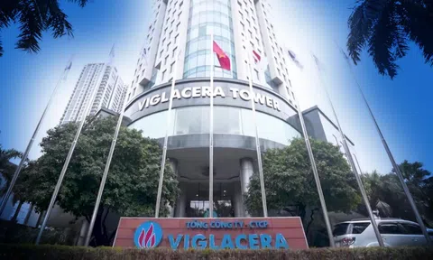 Viglacera (VGC): Đóng cửa 7 chi nhánh khi lợi nhuận sụt giảm, một Phó Tổng Giám đốc xin miễn nhiệm chức vụ