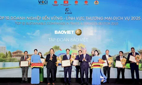 CSI 2025: Ghi nhận động lực chuyển đổi xanh doanh nghiệp