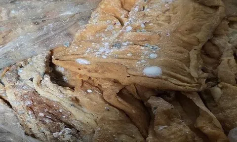 Phát hiện gần 2 tấn lòng lợn nấm mốc, không rõ nguồn gốc