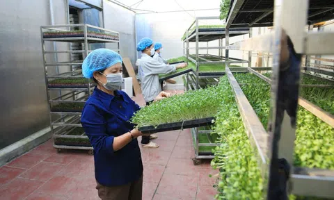 Liên kết doanh nghiệp: ‘Chìa khoá’ tăng tốc kinh tế tuần hoàn tại Việt Nam