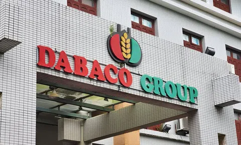 Dabaco (DBC) đặt mục tiêu đạt hơn 2 triệu lợn thịt mỗi năm trước 2028