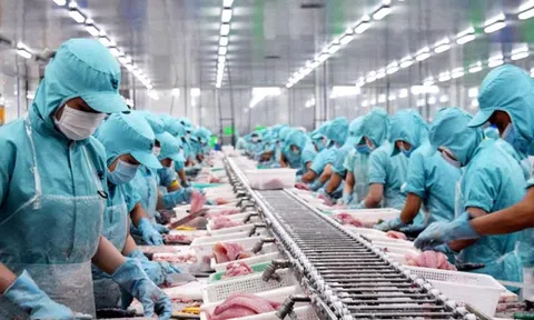 Xuất khẩu cá tra 11 tháng vượt mốc 2 tỷ USD