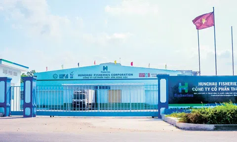 Nông nghiệp Hùng Hậu (SJ1): Doanh thu vượt 2.400 tỷ đồng, gánh nặng lãi vay bào mòn lợi nhuận