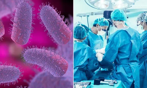 Người đàn ông tử vong sau khi được ghép thận từ người nhiễm bệnh dại