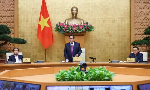 Thủ tướng: Sử dụng tối đa các công cụ để chống khai thác IUU và rà soát, đề xuất công cụ mới