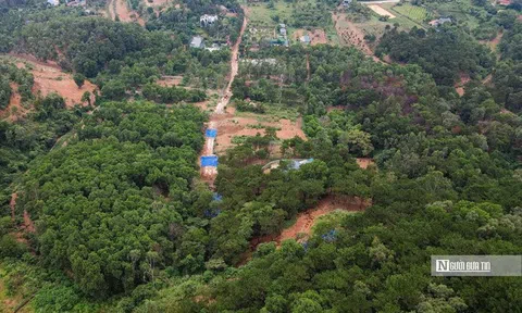 Năm 2026, thiết lập và vận hành sàn giao dịch carbon trong nước