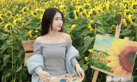 Giới trẻ đổ xô check-in cánh đồng hoa hướng dương đẹp như tranh ở xứ Nghệ