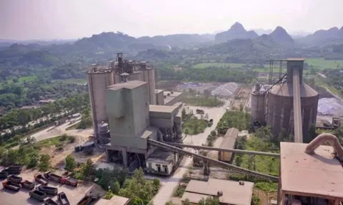 Kiến nghị giao Bộ Công an tiếp nhận hồ sơ vụ việc có dấu hiệu hình sự tại dự án nhà máy xi măng Quang Sơn