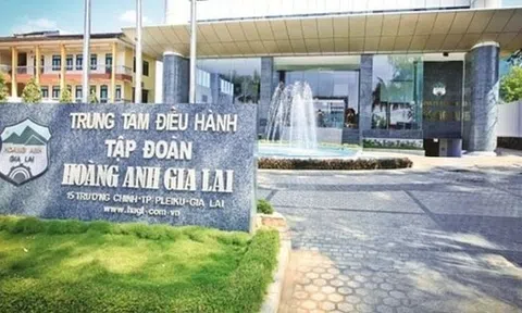 HAGL (HAG) dùng gần 157 triệu cổ phần HAGL Investment làm tài sản đảm bảo, chuẩn bị lộ trình niêm yết công ty con