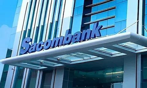 Pyn Elite Fund không còn là cổ đông lớn tại Sacombank (STB), trở lại danh sách sở hữu trên 1% của MB