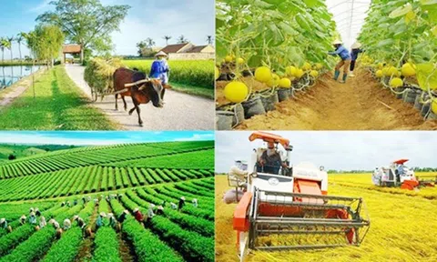 Kiện toàn thành viên BCĐ Trung ương các chương trình mục tiêu quốc gia 2021 - 2025