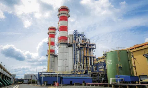 Chứng khoán MB (MBS) siết margin cổ phiếu DGC về 30% sau chuỗi giảm sàn, dư bán hơn 5% vốn điều lệ