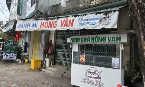 Ngộ độc bánh mì Quảng Ngãi: Thực phẩm nhiễm khuẩn, cơ sở vi phạm nhiều quy định