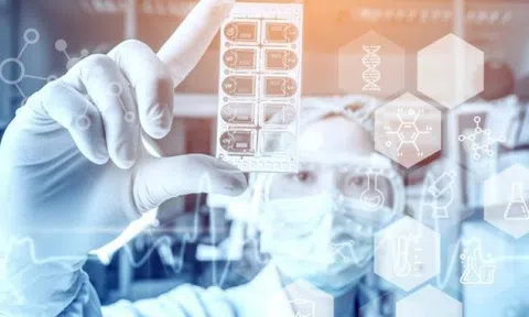 Kiện toàn thành viên Ban Chỉ đạo quốc gia về phát triển ngành Dược Việt Nam