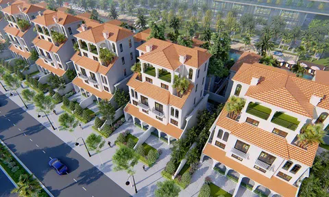 TP HCM thí điểm 6 dự án nhà ở thương mại hơn 246 ha tại xã Long Điền