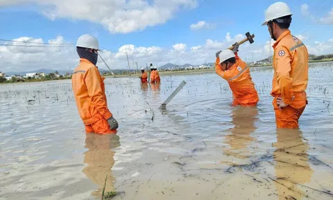Khôi phục điện sau bão số 13 tại Gia Lai: Cuộc chạy đua với 3 kỷ lục