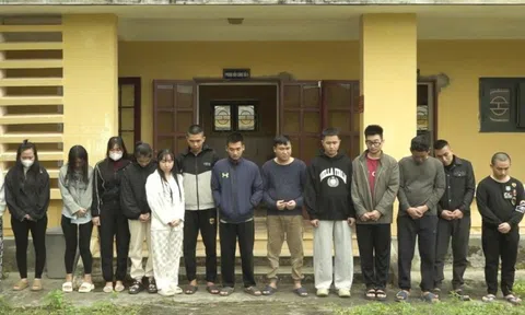 Lời khai của những "luật sư giả" lên kịch bản giúp nạn nhân lấy lại tiền bị lừa