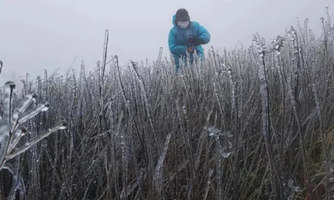 Miền Bắc sắp đón không khí lạnh "lạ thường", dự báo ngày rét đậm nhất 2025