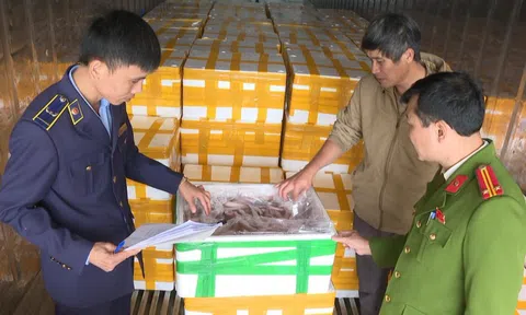 Phát hiện 10 tấn cá khoai tẩm formol đậm đặc chờ lên bàn ăn