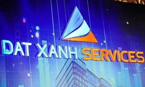 Cổ đông lớn tháo chạy khỏi Dat Xanh Services (DXS): Cổ phiếu lao dốc 32%, dòng tiền kinh doanh âm nặng