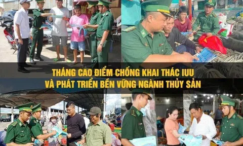 Cà Mau tạo chuyển biến toàn diện trong chống khai thác IUU